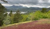 Tocht Stappen Murol - Tour du Tartaret - Photo 3