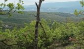 Trail Walking Saint-Saturnin-lès-Apt - Tour des Aiguiers-St Saturnin des Apt09-05-23 - Photo 9