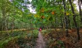 Trail Walking Braine-le-Comte - Marche Adeps à Hennuyères - Photo 11