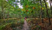 Excursión Senderismo Braine-Le-Comte - Marche Adeps à Hennuyères - Photo 11