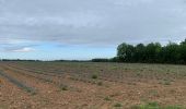 Percorso Marcia Le Vaudoué - Le Vaudoué entre champs et forêt - Photo 2