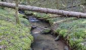 Tocht Stappen Peyrignac - boucle de la nuelle  - Photo 10