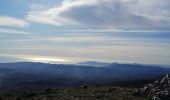 Tocht Stappen Tourrettes-sur-Loup - Puy de Naouri  - Photo 2