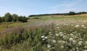 Tour Wandern Les Ormes - les Ormes - GR48 GR655 Poizay PM - 9.4km 100m 2h05 - 2024 07 18 - Photo 2
