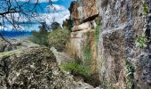 Tour Wandern Mazaugues - NSB5-MazauguesPivautI-220424 - Photo 14