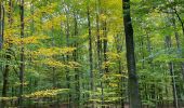 Tocht Stappen Gerpinnes - 100 pc forestier  - Photo 8