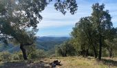 Tour Wandern Pierrefeu-du-Var - Pierre feu . Les maures  - Photo 13