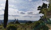 Trail Walking La Londe-les-Maures - De Lalonde-Valcros au dolmen de Gautabry - Photo 2