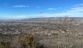 Tocht Stappen Vernègues - PF-Vernègues - Camp Caïn - Campanes - Le Grand Puech - Photo 14