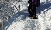 Trail Snowshoes Lans-en-Vercors - Circuit les Aigaux / Charande - Photo 4