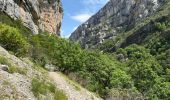 Randonnée Marche Rougon - Point sublime Verdon Blanc Martel 12 km - Photo 5