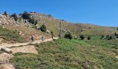 Percorso Mountainbike Zicavo - Balade sur le plateau du Coscione - VTT - Photo 12