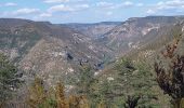 Randonnée Marche Le Rozier - Causse et gorges au pays des vautours  - Photo 8