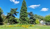 Randonnée Marche Rueil-Malmaison - De Rueil Malmaison aux Serres d'Auteuil via Suresnes - Photo 3