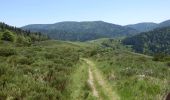 Percorso A piedi Mayres - Tour des Poignets 18km - Photo 3