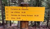 Trail Walking Allos - Lac d’allos  - Photo 5