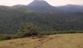 Trail Walking Orcines - Ballade au Puy de Cōme - Photo 4