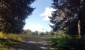 Trail Walking Salins-Fontaine - 06 sept 21 - Photo 8
