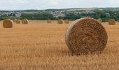 Tour Zu Fuß Bettemburg - Auto-Pédestre Abweiler - Photo 7