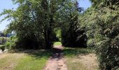 Tocht Stappen 's-Gravenbrakel - Promenade des canaux de Ronquières - Photo 16