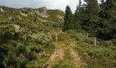 Trail Walking Paulhac - plomb du Cantal depuis Prat de bouc - Photo 3