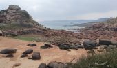 Tour Wandern Perros-Guirec - ploumanach - Photo 13