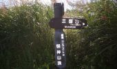 Randonnée A pied Unknown - 高指山・明神山コース - Photo 5