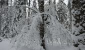 Randonnée Raquettes à neige Gerbépal - 20201230_12km_424m_ColMartimpré-ChaletPreux - Photo 1