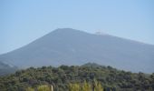 Tour Wandern Le Barroux - PF-Le Barroux - Monastère-Le Barroux-La Roque Alric - Photo 13