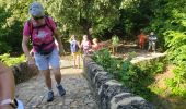 Trail Walking Montauroux - Les gorges de la Siagne et les chênes pluricentenaires - Photo 7