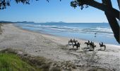 Tour Zu Fuß Unknown - Te Araroa - 02 Auckland - a Mangawhai Heads to Pakiri Beach - Photo 5