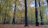 Percorso Marcia Beersel - Dworp - Parc de Huizingen - Bois de Halle - Photo 16