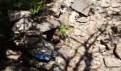 Trail Walking Saint-Martin-de-l'Arçon - le Caroux - Photo 19