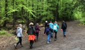 Trail Walking Nassogne - Grune - Photo 2