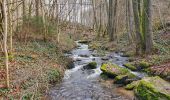 Tocht Stappen Gedinne - Balade à Malvoisin - Gedinne - Photo 6