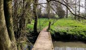 Trail Walking Tongeren - Promenade de la beauté cachée à Lauw  - Photo 3