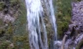 Randonnée Marche La Sure en Chartreuse -  Gorges de la Roize Voreppe - Photo 7