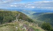 Tour Wandern Xonrupt-Longemer - Jardin d’altitude du haut Chita let - Trois fours - Photo 3