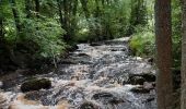 Tocht Stappen Jalhay - moulin Thorez . pont du centenaire / aller via la hoêgne  / retour via ravel Sart station  - Photo 14