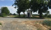 Randonnée Marche Binche - 35.912 Binche - Chemin des Terrils - Photo 8