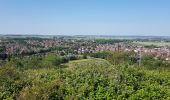 Trail Walking Hénin-Beaumont - Parc des Iles Hennin Drocourt - Photo 14