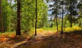 Randonnée Marche Vresse-sur-Semois - Promenade de la Croix - Bohan - Photo 4