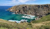 Excursión Senderismo Cléden-Cap-Sizun - Pointe du Van - Photo 18