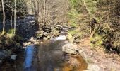Trail Walking Waimes - Peak brune - Photo 13