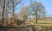 Tour Wandern Simmerath - A la découverte de Lammersdorf 🥾 - Photo 13