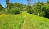 Tocht Paardrijden Walcourt - les 7 ponts - Photo 1