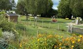 Tour Wandern Le Vivier-sur-Mer - Vivier sur mer - Photo 6