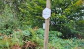 Trail Walking Manhay - Dochamps 240924 - Photo 9