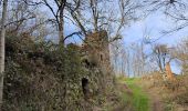 Tour Wandern Violay - Randonnée au dessus de Violay  - Photo 6