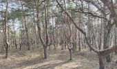 Tour Wandern Champdieu - Randonnée sur les hauteurs de Champdieu  - Photo 16